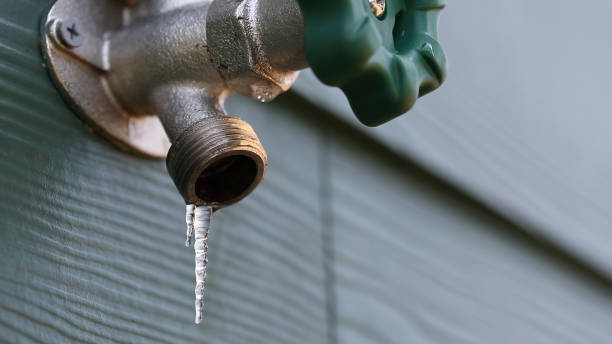Best Plumbing Inspection Services  in Trooper, PA